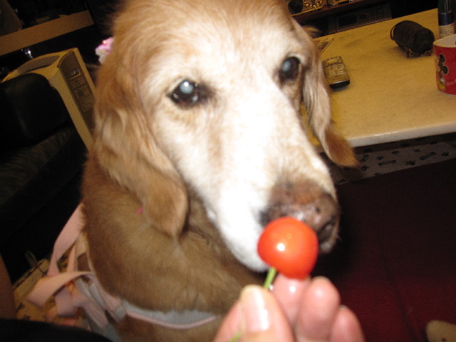 ファイル 2499-2.jpg