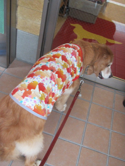 ファイル 2499-3.jpg