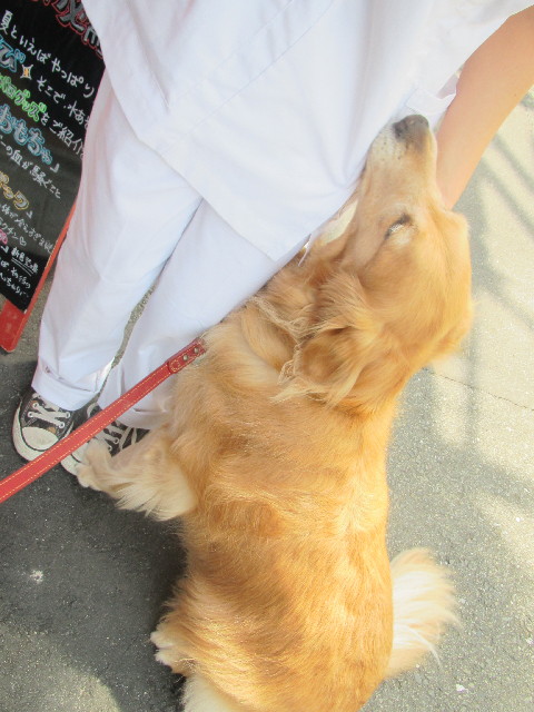 ファイル 2500-2.jpg