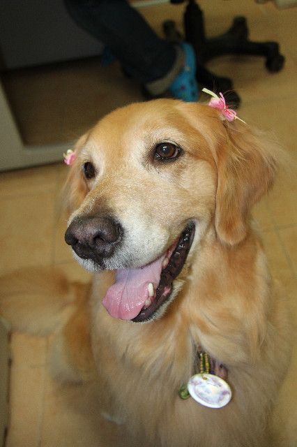 ファイル 2500-5.jpg