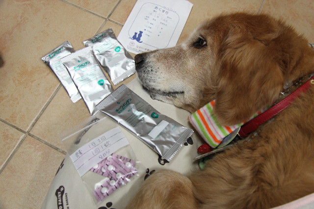 ファイル 2502-1.jpg