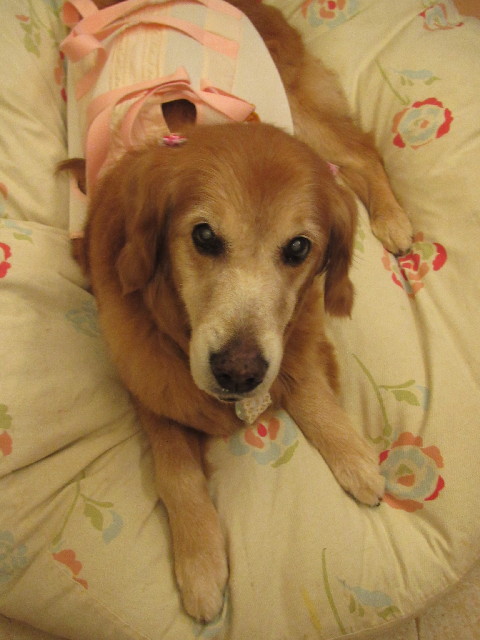 ファイル 2502-3.jpg