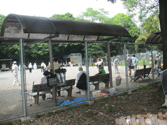 ファイル 2504-5.jpg