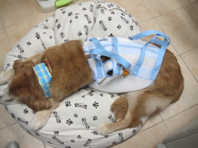 ファイル 2505-5.jpg