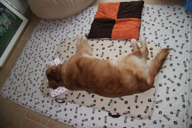 ファイル 2506-3.jpg