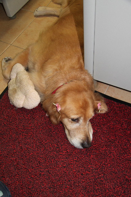 ファイル 2506-4.jpg