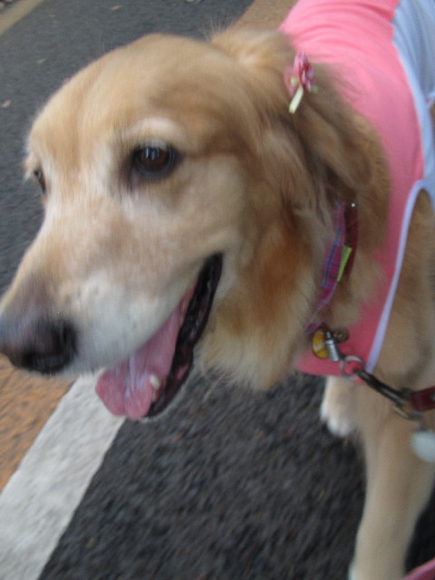 ファイル 2507-5.jpg