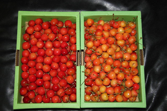 ファイル 2508-5.jpg