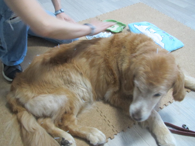 ファイル 2509-1.jpg