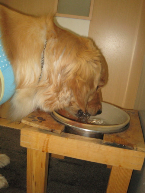 ファイル 251-3.jpg