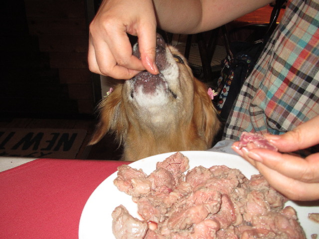 ファイル 2510-5.jpg