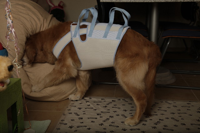 ファイル 2511-5.jpg