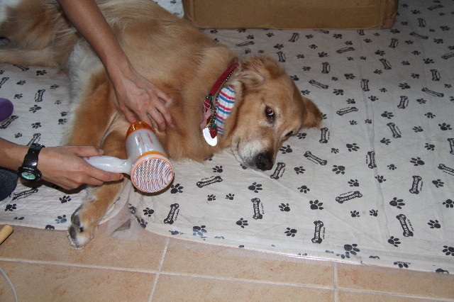 ファイル 2513-5.jpg