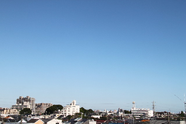 ファイル 2520-1.jpg