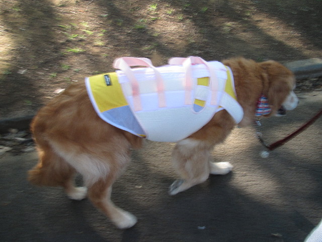 ファイル 2520-2.jpg