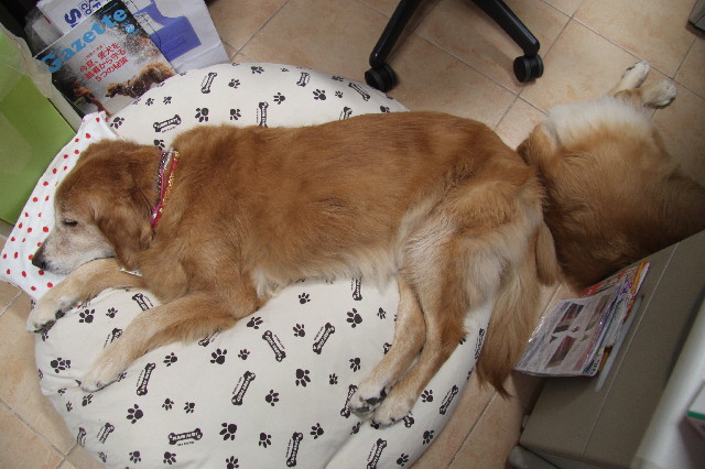 ファイル 2524-3.jpg