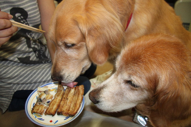 ファイル 2527-4.jpg