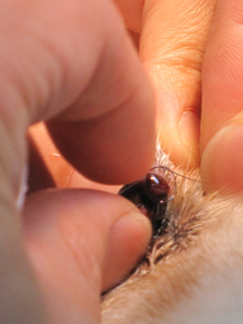 ファイル 2528-3.jpg