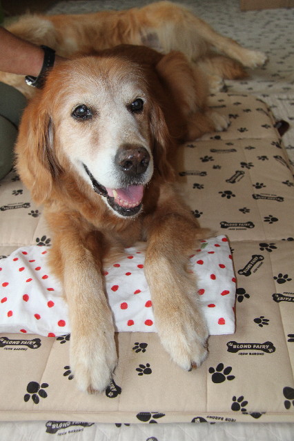 ファイル 2529-3.jpg