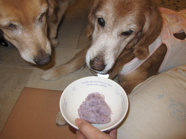 ファイル 2530-2.jpg