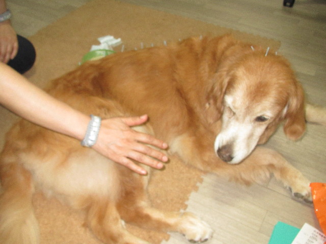 ファイル 2533-4.jpg