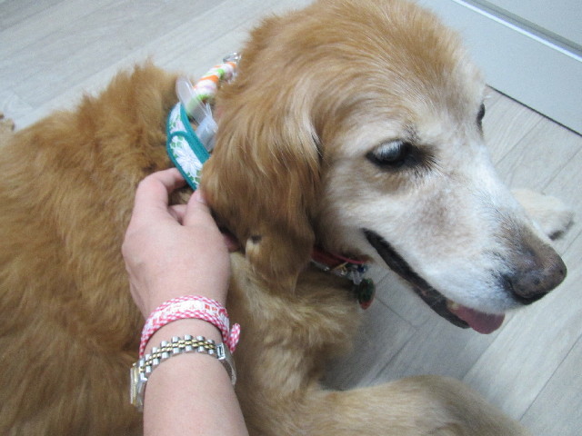 ファイル 2533-5.jpg