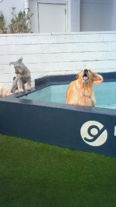 ファイル 2535-3.jpg