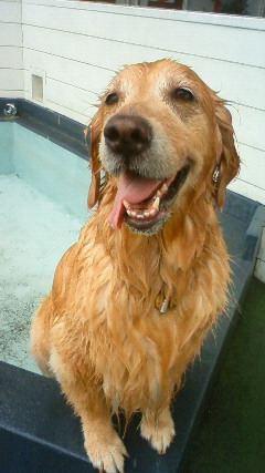 ファイル 2535-5.jpg