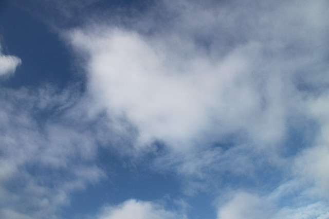 ファイル 2538-2.jpg