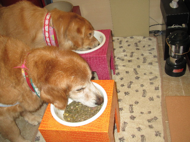 ファイル 2539-3.jpg