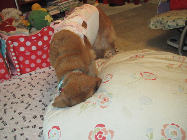 ファイル 2539-4.jpg