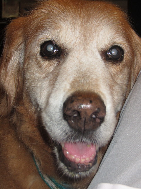 ファイル 2539-5.jpg