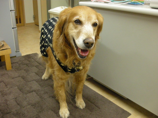 ファイル 254-1.jpg