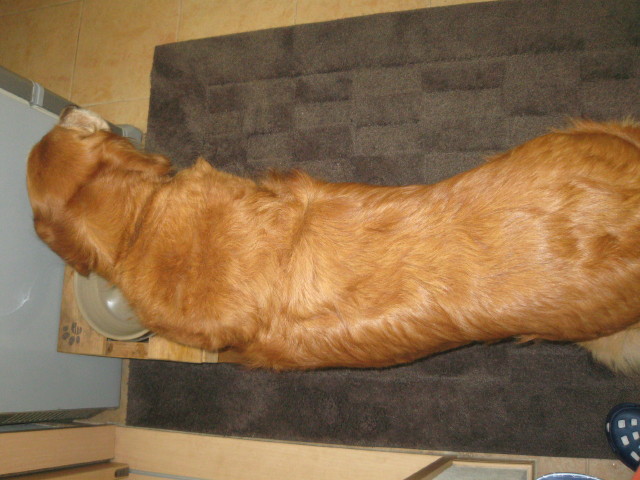 ファイル 254-2.jpg