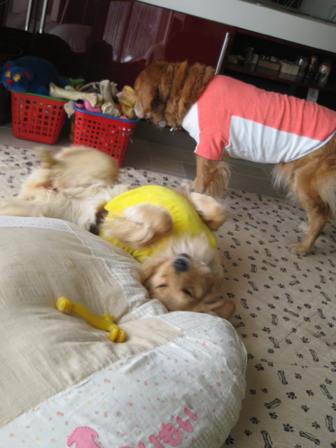 ファイル 254-4.jpg