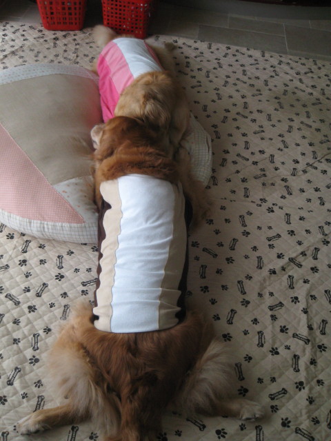 ファイル 254-5.jpg