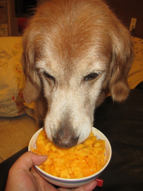 ファイル 2540-4.jpg