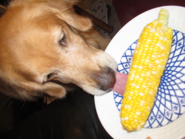 ファイル 2540-5.jpg