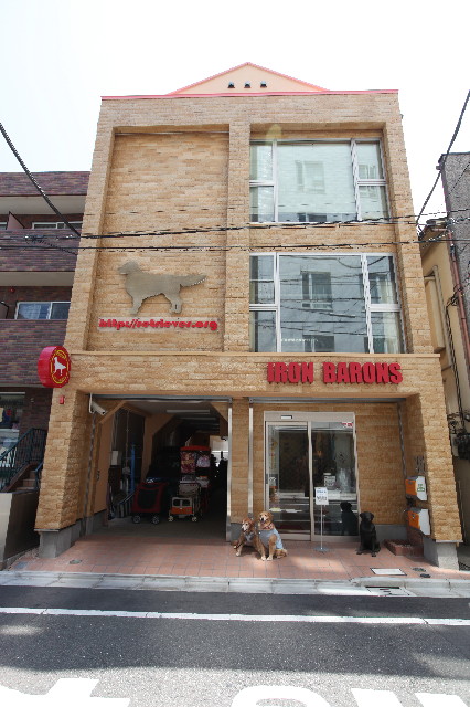 ファイル 2544-1.jpg