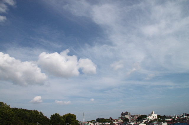 ファイル 2545-1.jpg