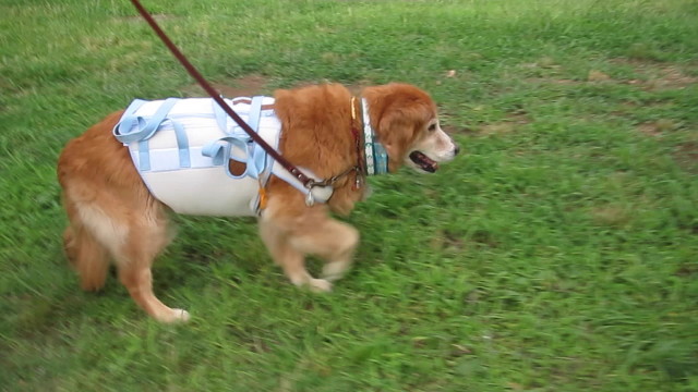 ファイル 2546-3.jpg