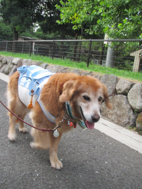 ファイル 2547-4.jpg