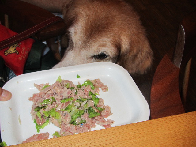 ファイル 2548-4.jpg