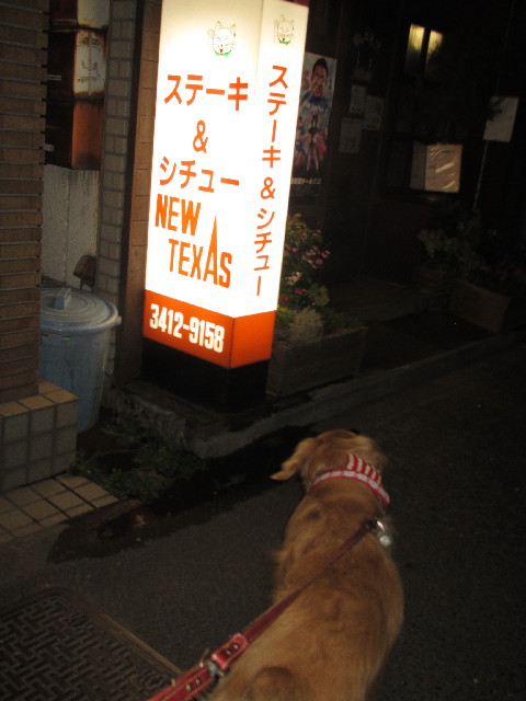 ファイル 2550-1.jpg