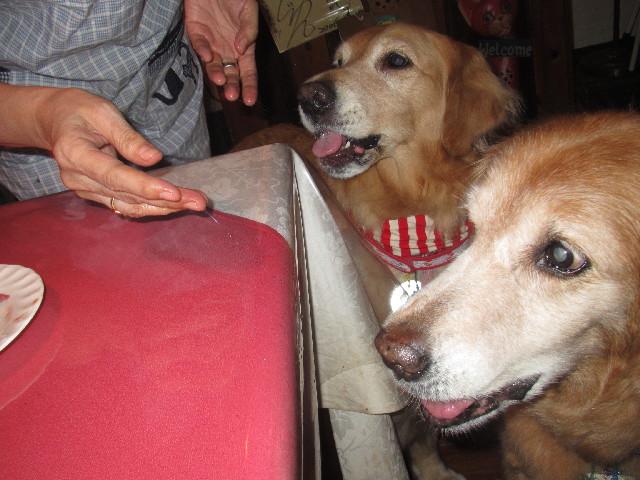 ファイル 2550-4.jpg