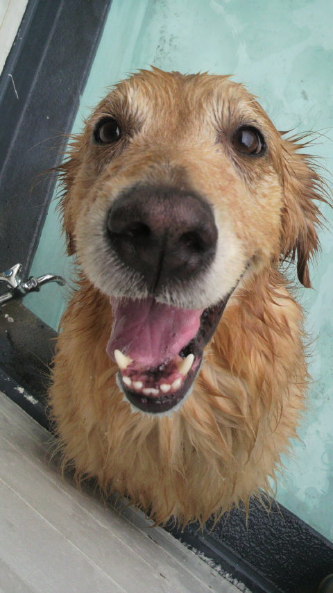 ファイル 2552-1.jpg