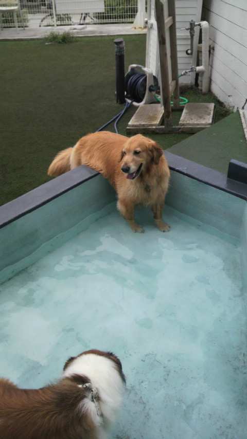 ファイル 2552-2.jpg