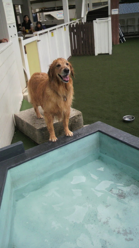 ファイル 2552-3.jpg