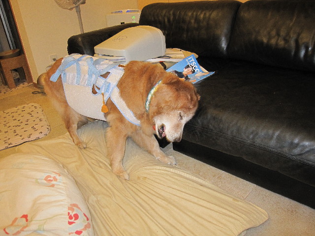 ファイル 2553-5.jpg