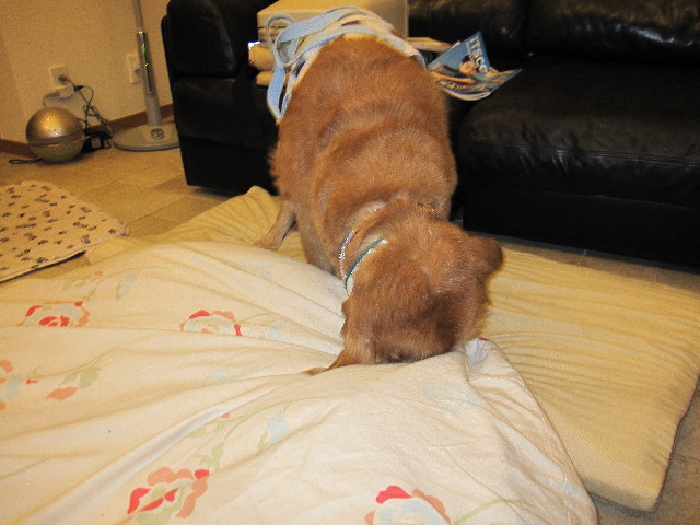 ファイル 2554-3.jpg